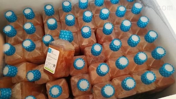 BI 胎牛血清