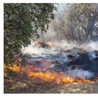 OSEN-PTɭְȫۺϹƽ̨ ɭַ