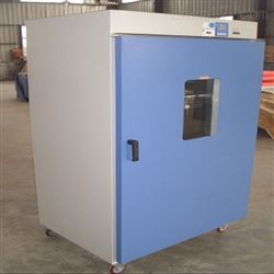 DGG-9920A大型智能型鼓風(fēng)烘箱