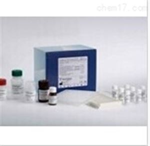 人角鲨烯单加氧酶（SQLE）检测试剂盒