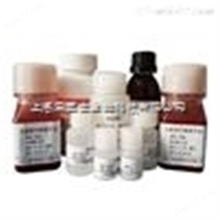 Western blotting(小鼠/兔IgG) 現貨