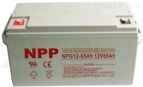 耐普蓄电池NPG12-38Ah参数及质保说明