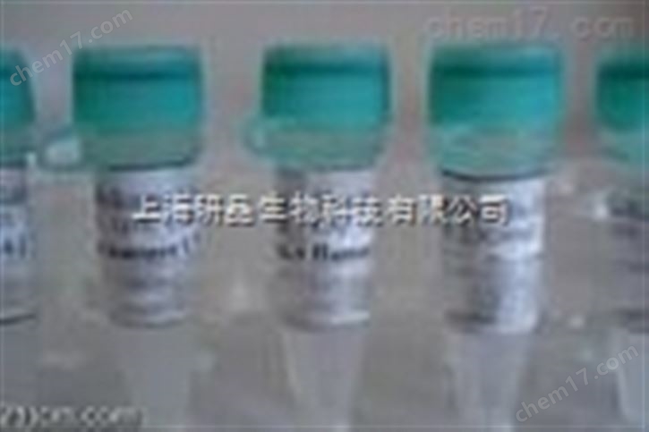 紅細胞磷脂酰肌醇聚糖A抗體PIGA抗體