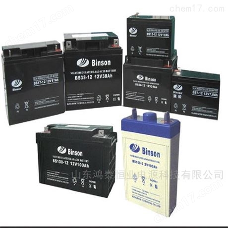 BINSON蓄電池BS100-12 12V100AH風(fēng)能系統(tǒng)