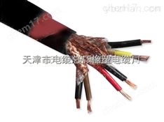 DJYVP計算機電纜 DJYVP-6*2*1.5屏蔽計算機用電纜